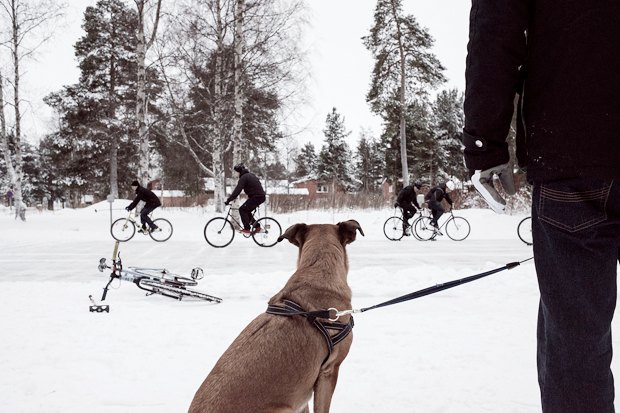 Интервью: Консультант мэрии финского Оулу — о зимнем велодвижении