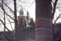 27 декабря новгородские деревья облачатся в яркие вязанные одежды