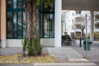 Главный архитектор Стокгольма: «Первые в городе — пешеходы, а не автомобилисты»